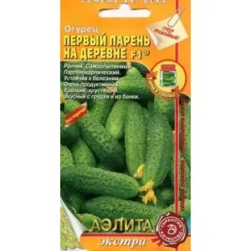 Первый Парень