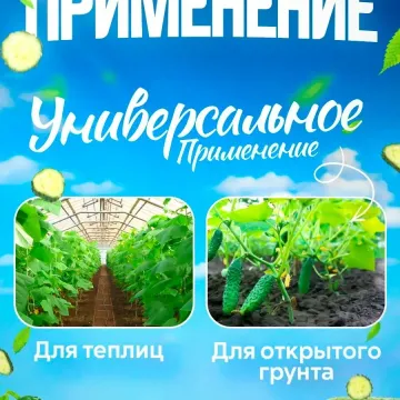 Сила Земли