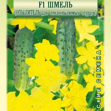 Шмель