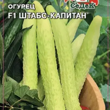 Штабс-Капітан