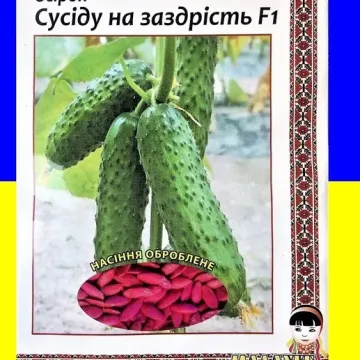 Susidu na zazdrist