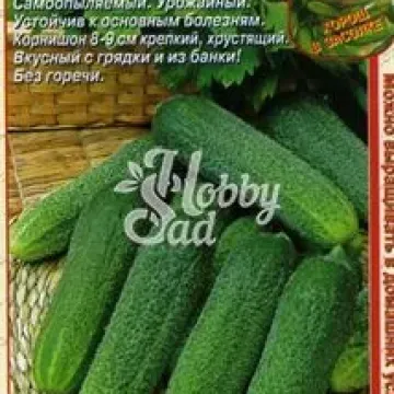 Шустрик