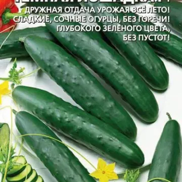 Тёмная Лошадка