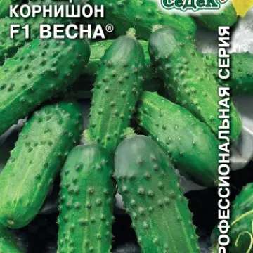 Весна