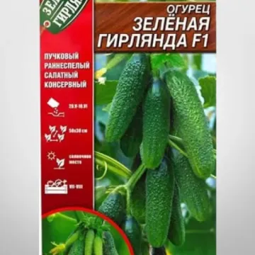 GREEN GARLAND