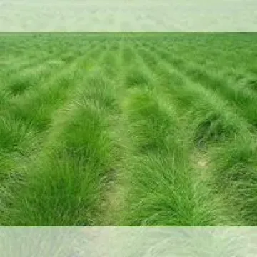 ПЕНЗЕНСКАЯ 1