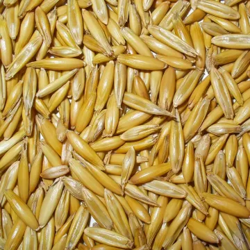 Амар