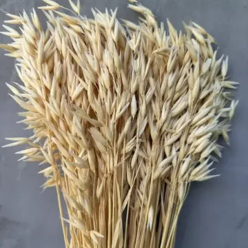 Саргон