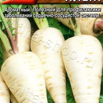 Белый Клык