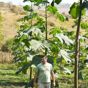Giant 27