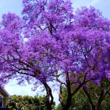 Power of Nature