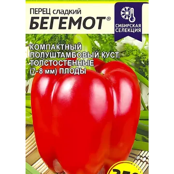 Бегемот