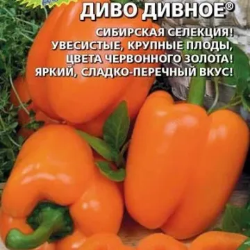 DIVO DIVNOE