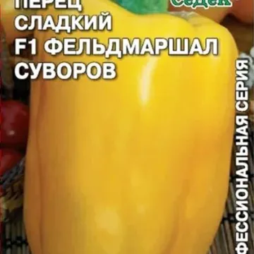 Фельдмаршал Суворов