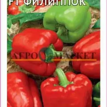 Филиппок