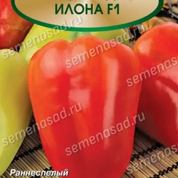 Илона