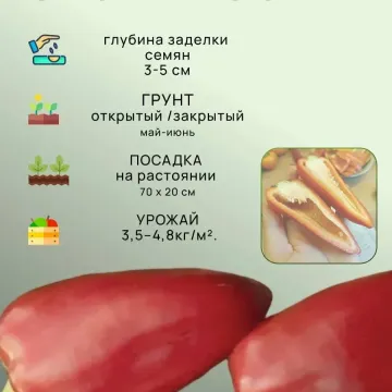 Іванушка