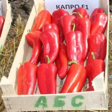 Капро