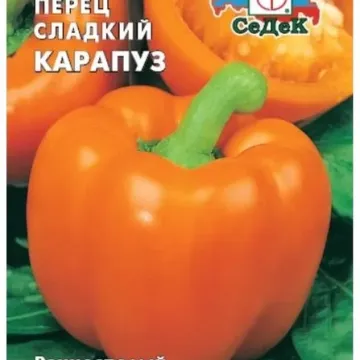 Карапуз