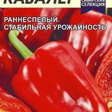 Кавалер