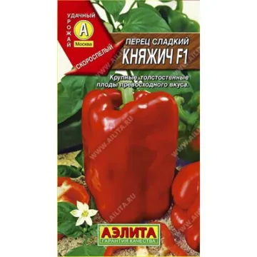 Княжич