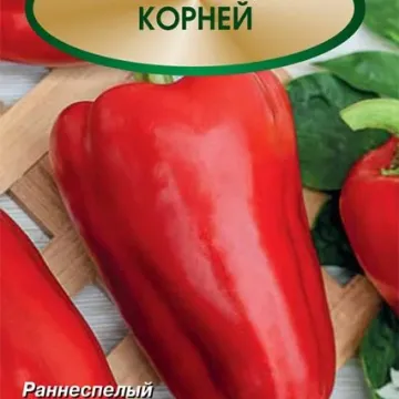 Корней