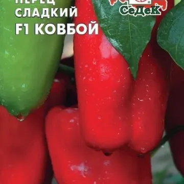 Ковбой