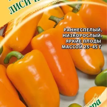 ORANGE FOX