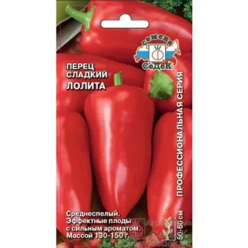 Лоліта