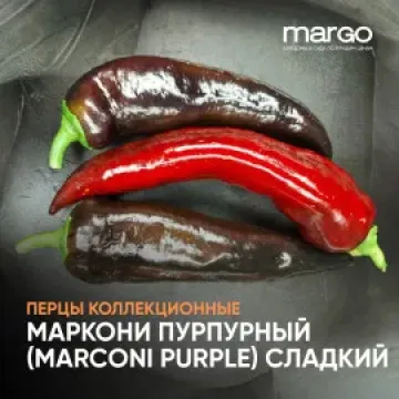 Макар