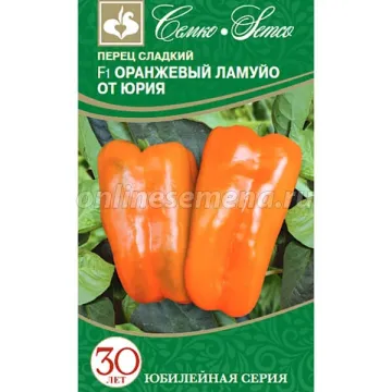 Помаранчевий Ламуйот Юрія