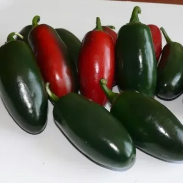 Пули Капоне