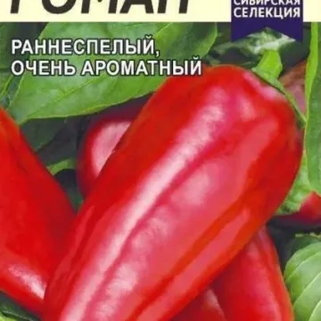 Роман