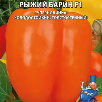 Рудий ПАН