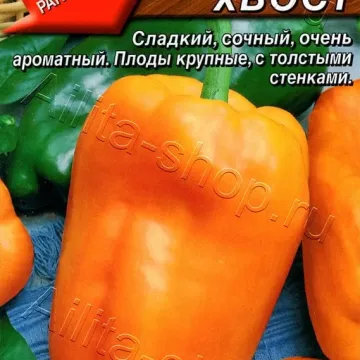 Рыжий Хвост