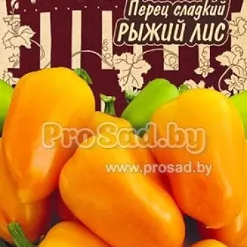Рыжий ЛИС