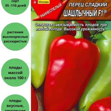 Шашлычный