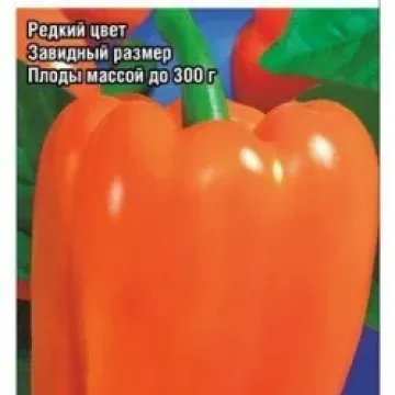 Сибирский Бонус