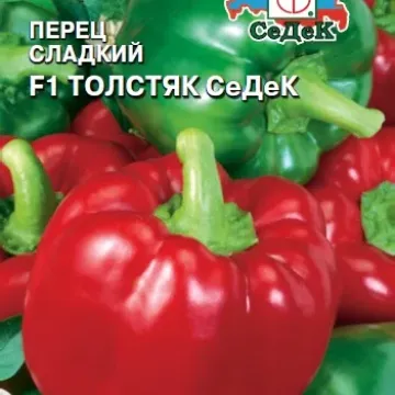 Толстяк Сідек