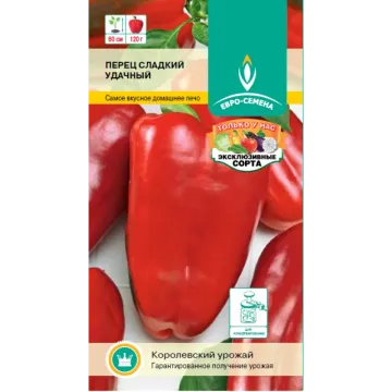 Удачный