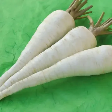 Коника