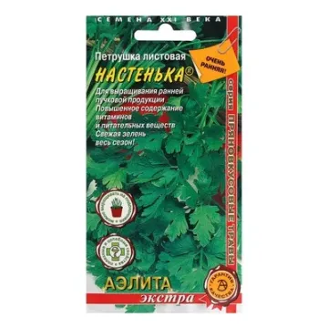 Настенька