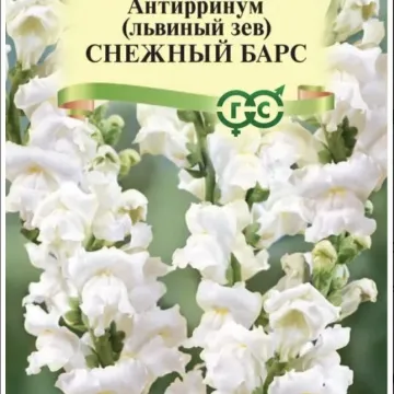 Снежный Барс