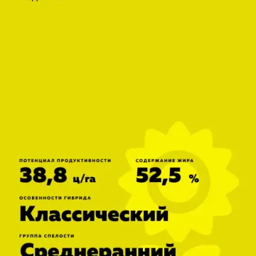 Алисон