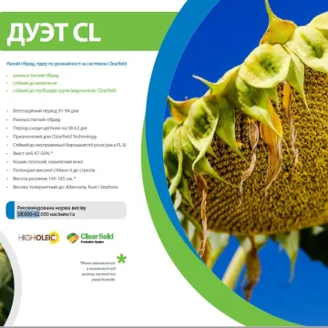 Дует КЛ