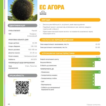 ЕС Агора