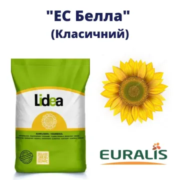 ЕС Белламис СЛ