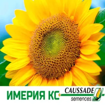 Имерия Кс
