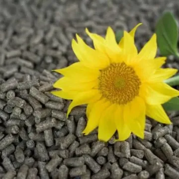 Измаил