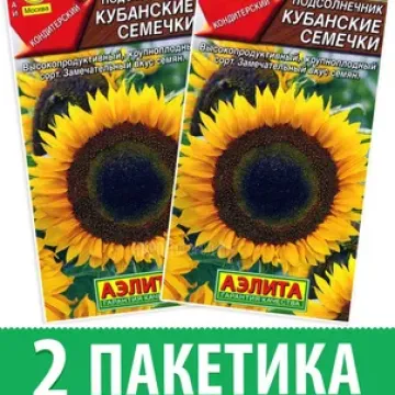 Кадет